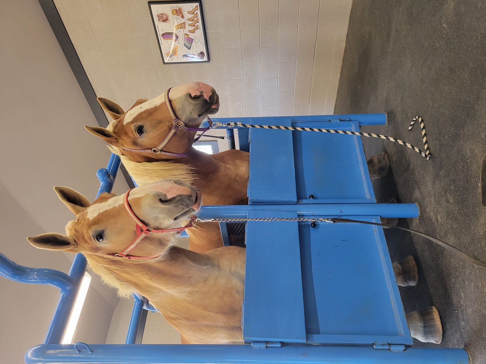 financial well-being